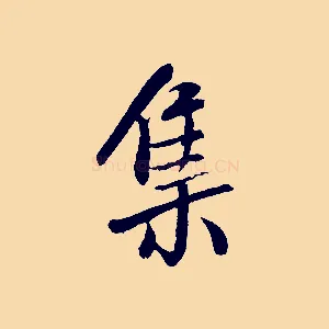 集