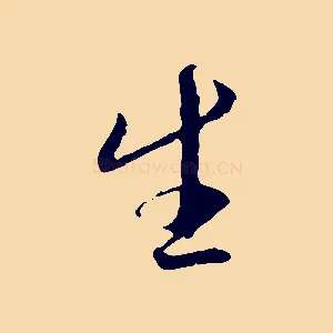 生