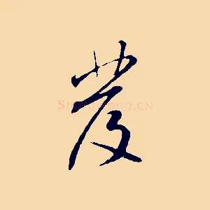 發