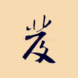 發