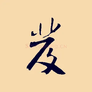發