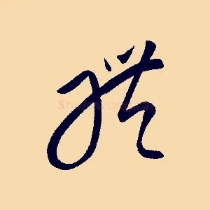 體