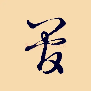 管