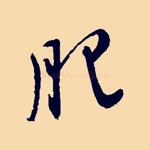 肥