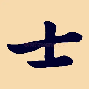 士