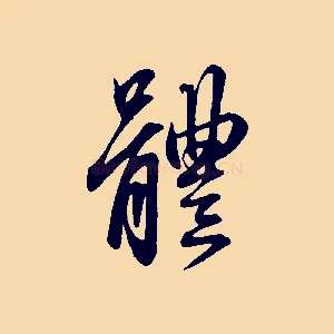 體