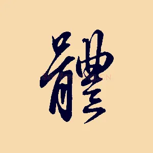 體