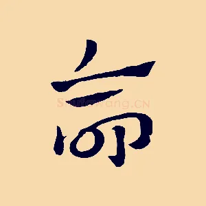 命