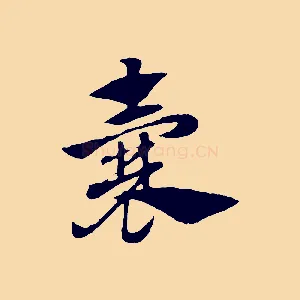 囊