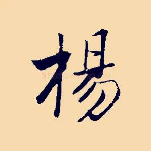 楊