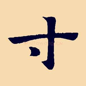 寸