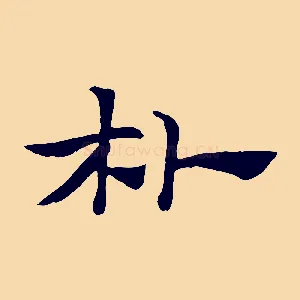 朴