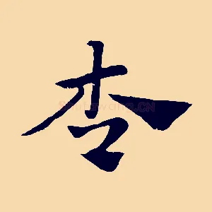 杏