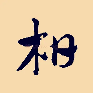 柏