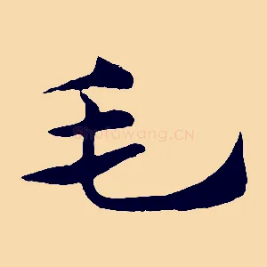 毛