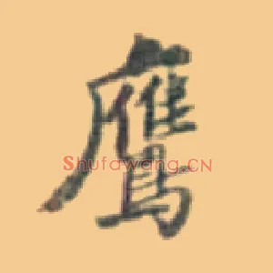 鹰