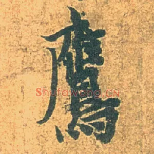 鹰