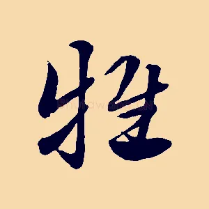 牴