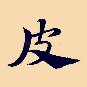 皮