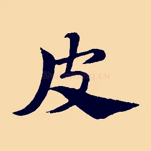 皮