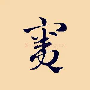竇