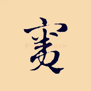 竇