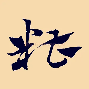糟