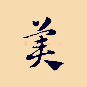 美