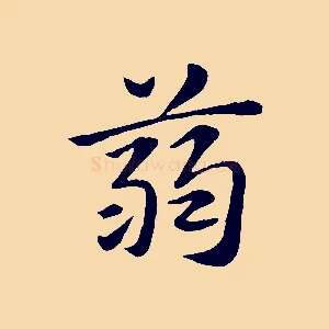 蒻