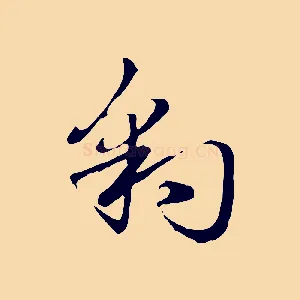豹