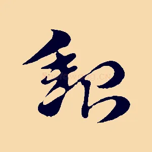 貂