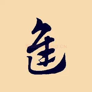 進