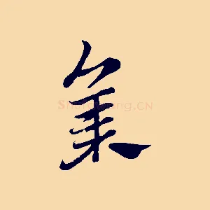 集