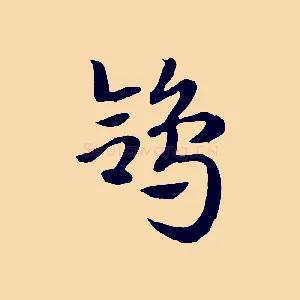 鴿