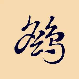 鷂