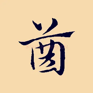 齒