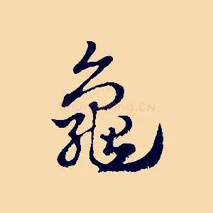龜