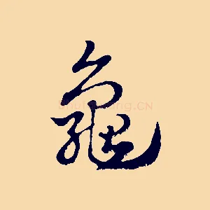 龜