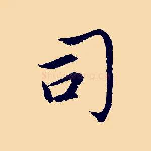 司