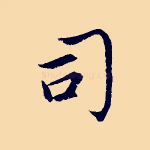 司
