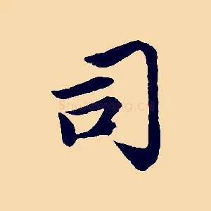 司