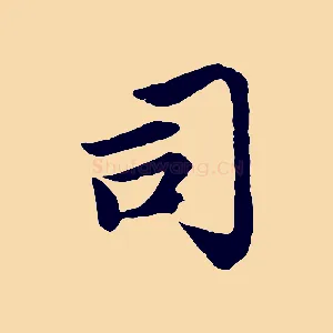 司