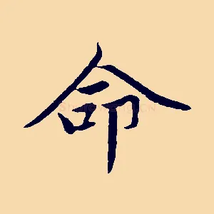 命