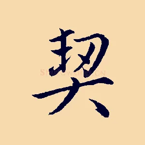 契