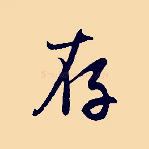 存