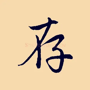 存