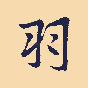 羽