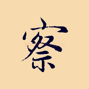 察