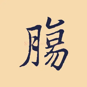 腸