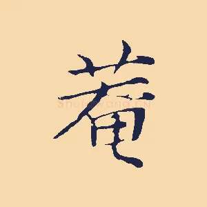 菴